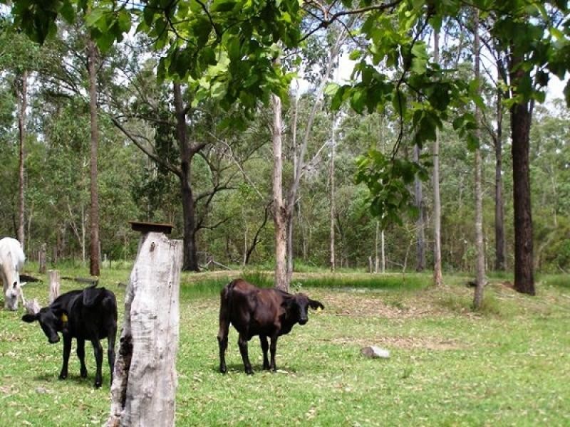 3301 Summerland Way, Gurranang NSW 2460