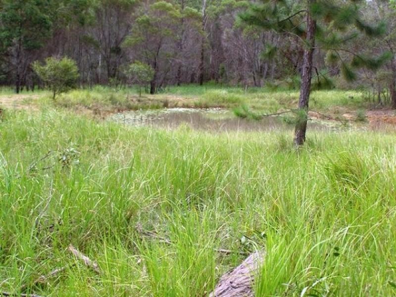 48 Tower, Lawrence NSW 2460