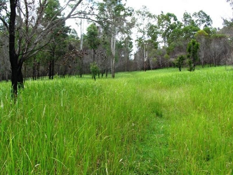 48 Tower, Lawrence NSW 2460