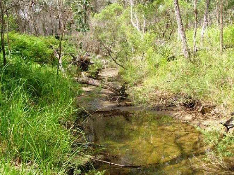 48 Tower, Lawrence NSW 2460