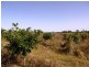41 West Lanitza Road, Grafton NSW 2460