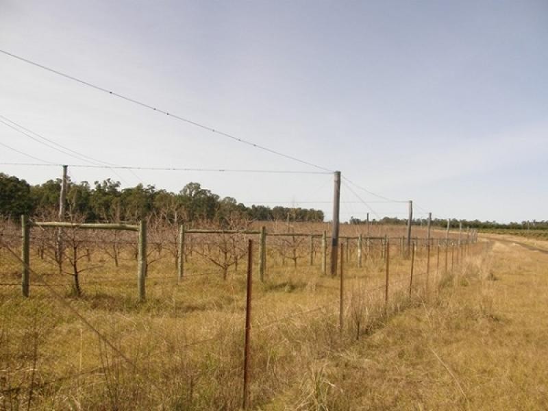 41 West Lanitza Road, Grafton NSW 2460