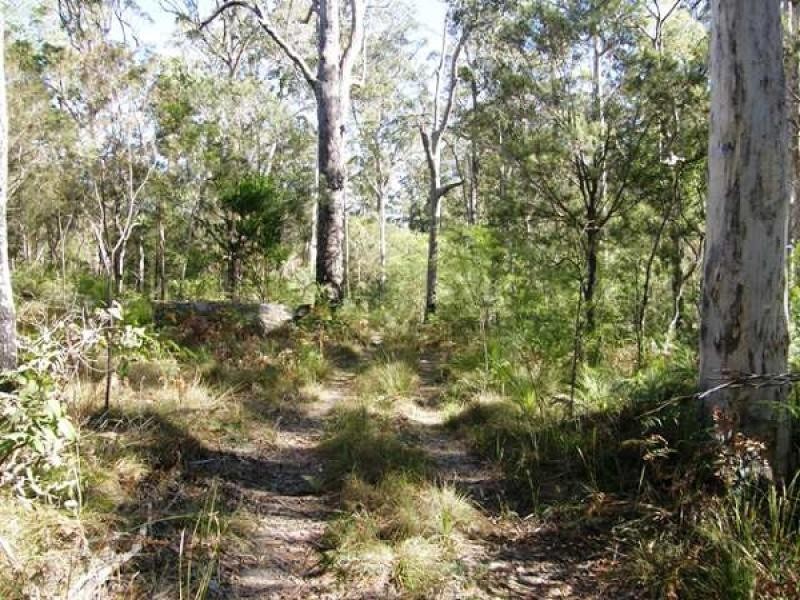 41 West Lanitza Road, Grafton NSW 2460