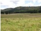 554 Middle Creek Road, Kangaroo Creek, Grafton NSW 2460