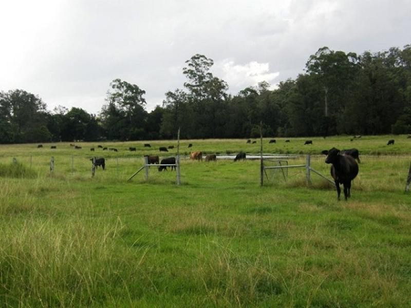 554 Middle Creek Road, Kangaroo Creek, Grafton NSW 2460