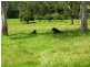 554 Middle Creek Road, Kangaroo Creek, Grafton NSW 2460