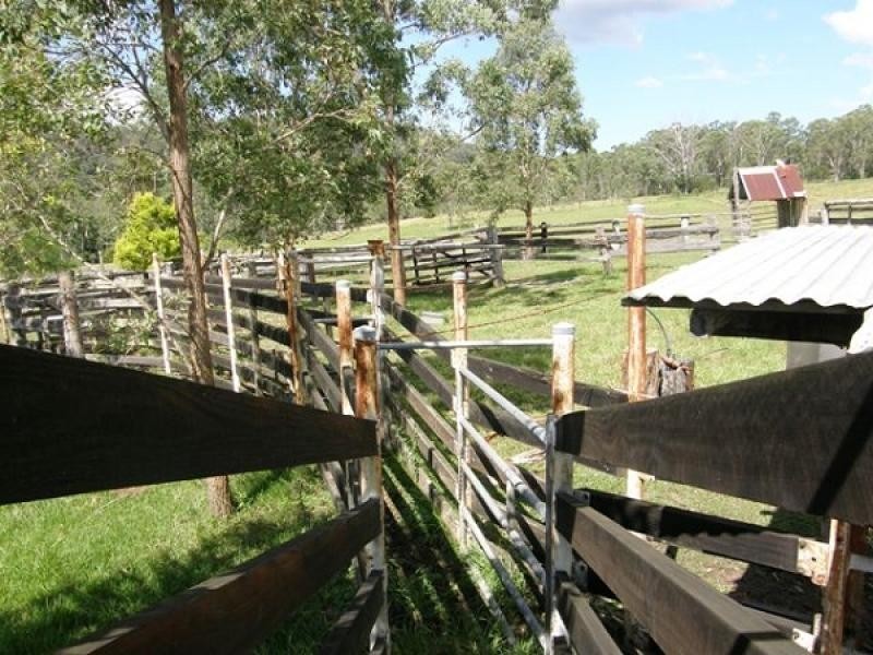 554 Middle Creek Road, Kangaroo Creek, Grafton NSW 2460