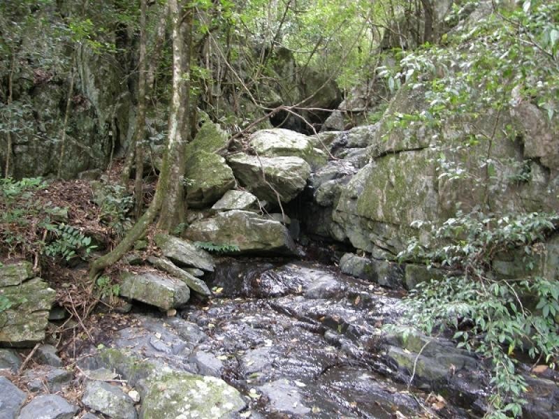 Lot 194 Old Glen Innes Road, Newton Boyd, Grafton NSW 2460