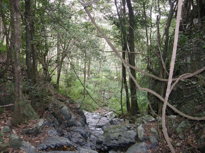 Lot 194 Old Glen Innes Road, Newton Boyd, Grafton NSW 2460