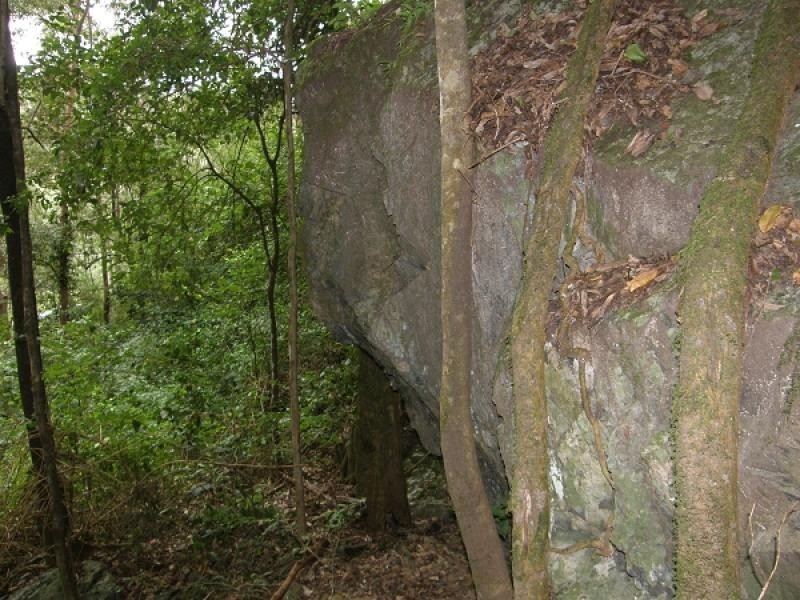 Lot 194 Old Glen Innes Road, Newton Boyd, Grafton NSW 2460