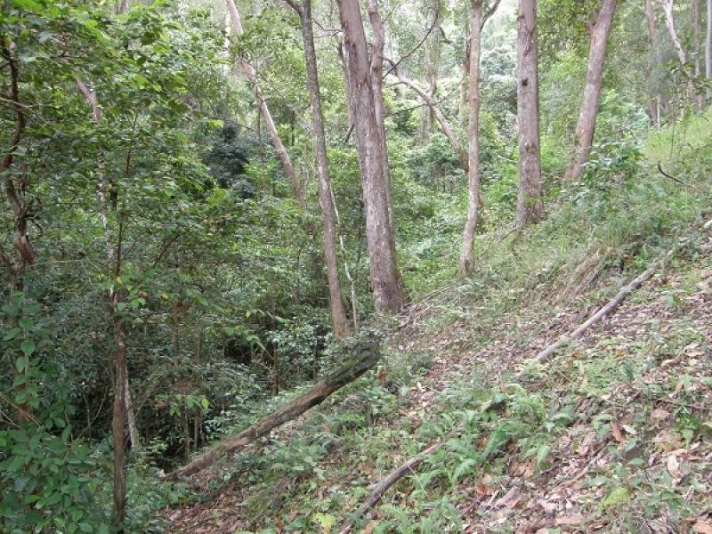 Lot 194 Old Glen Innes Road, Newton Boyd, Grafton NSW 2460