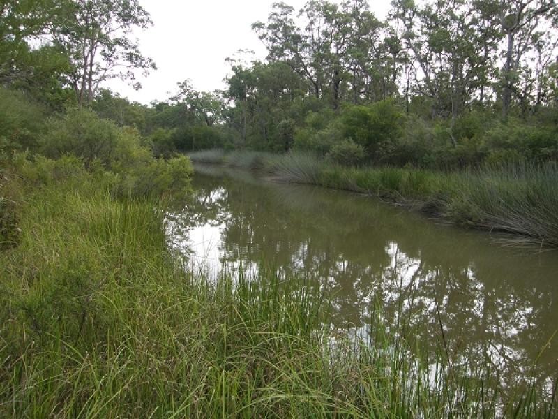 585 COALDALE ROAD, FORTIS CREEK, Grafton NSW 2460