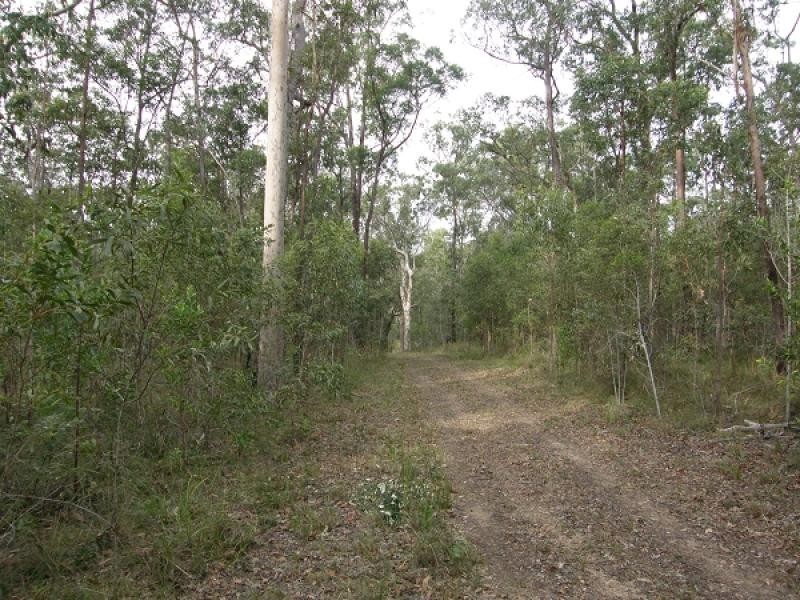 585 COALDALE ROAD, FORTIS CREEK, Grafton NSW 2460