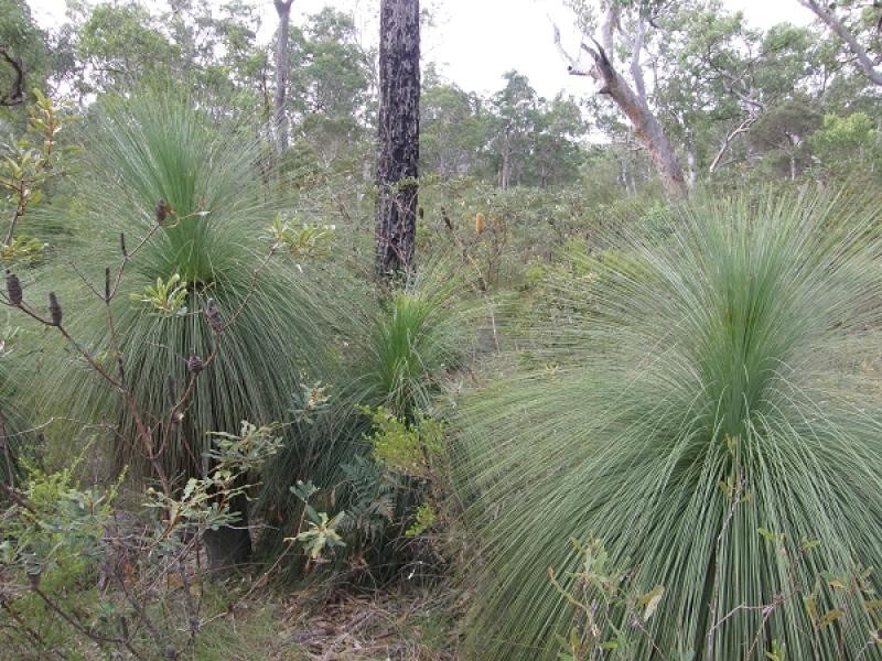 585 COALDALE ROAD, FORTIS CREEK, Grafton NSW 2460