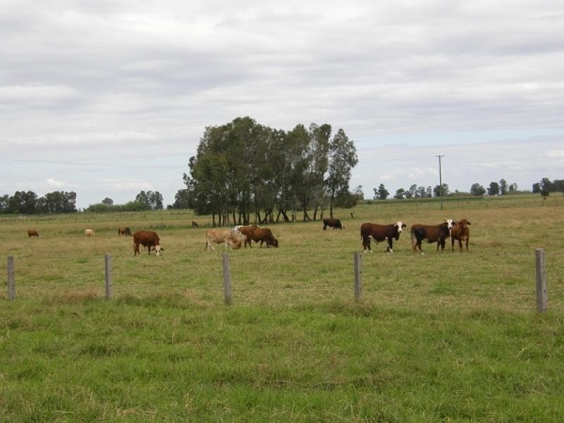 1930 Lawrence Road, Lower Southgate, Grafton NSW 2460