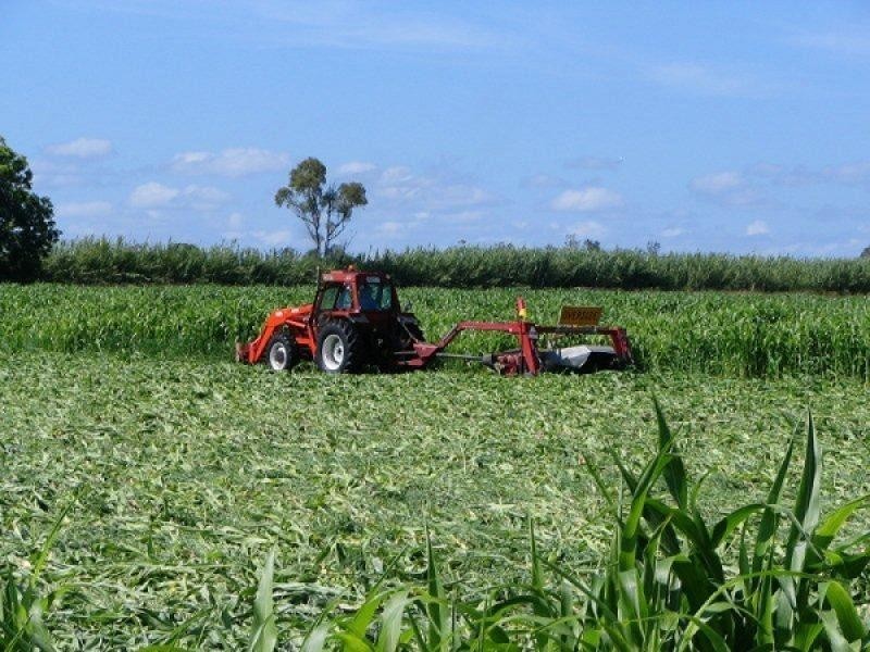 1930 Lawrence Road, Lower Southgate, Grafton NSW 2460