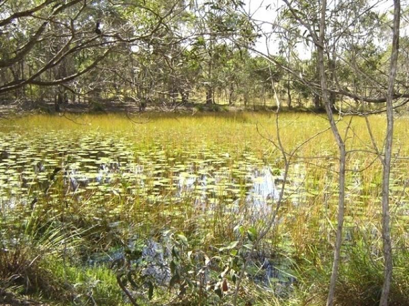 116 Lloyds Road, Pillar Valley NSW 2462