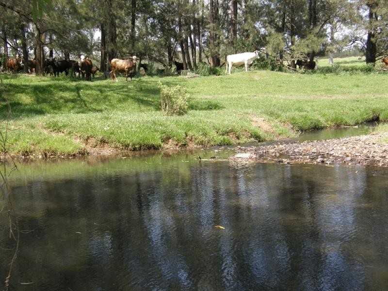 2899 Gwydir Highway, Grafton NSW 2460