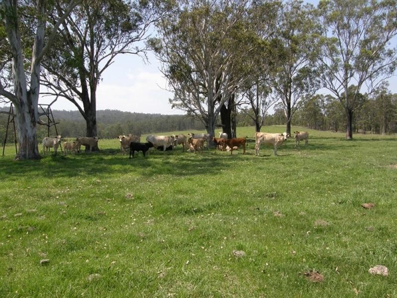 2899 Gwydir Highway, Grafton NSW 2460