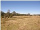 577 Smiths Creek Road, Copmanhurst, Grafton NSW 2460
