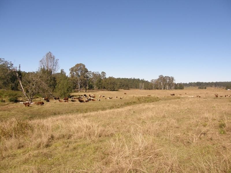 577 Smiths Creek Road, Copmanhurst, Grafton NSW 2460