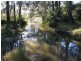 577 Smiths Creek Road, Copmanhurst, Grafton NSW 2460