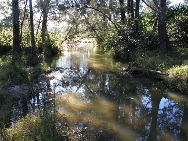 577 Smiths Creek Road, Copmanhurst, Grafton NSW 2460