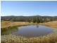 577 Smiths Creek Road, Copmanhurst, Grafton NSW 2460
