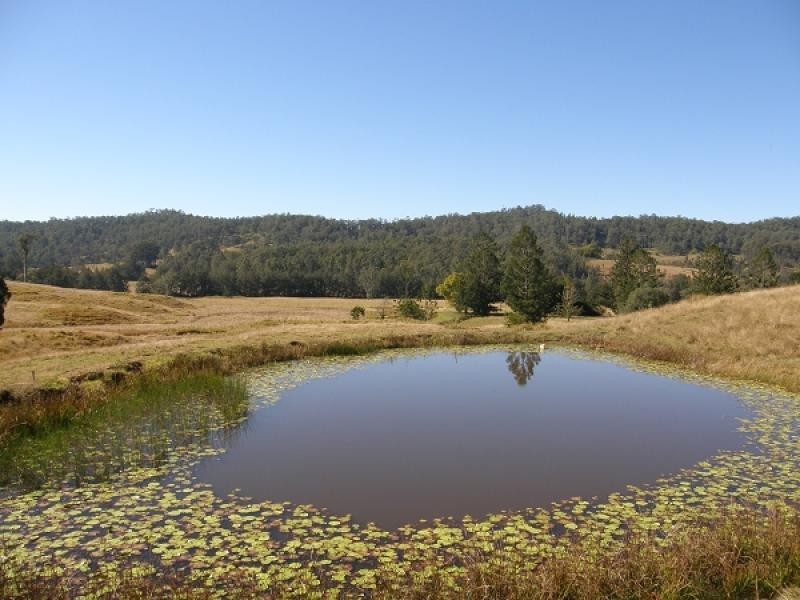 577 Smiths Creek Road, Copmanhurst, Grafton NSW 2460