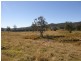 577 Smiths Creek Road, Copmanhurst, Grafton NSW 2460
