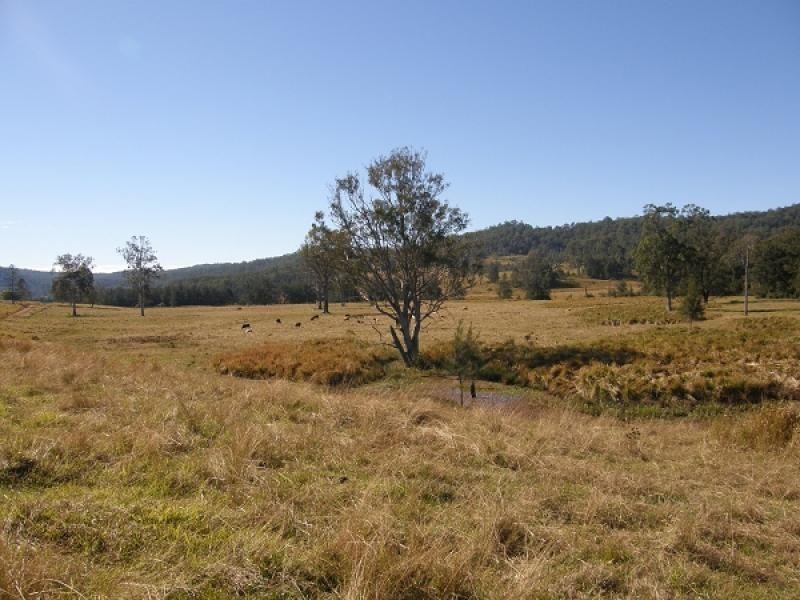577 Smiths Creek Road, Copmanhurst, Grafton NSW 2460