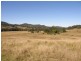 577 Smiths Creek Road, Copmanhurst, Grafton NSW 2460