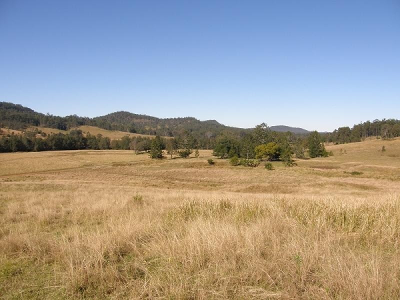 577 Smiths Creek Road, Copmanhurst, Grafton NSW 2460