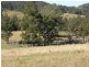 577 Smiths Creek Road, Copmanhurst, Grafton NSW 2460