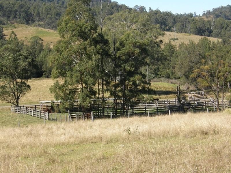 577 Smiths Creek Road, Copmanhurst, Grafton NSW 2460