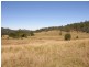 577 Smiths Creek Road, Copmanhurst, Grafton NSW 2460
