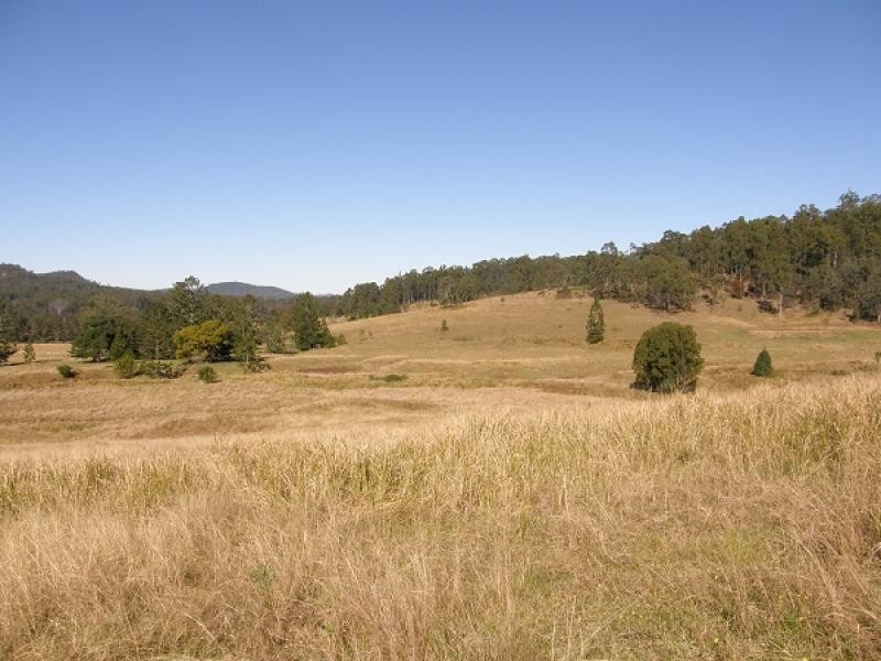 577 Smiths Creek Road, Copmanhurst, Grafton NSW 2460