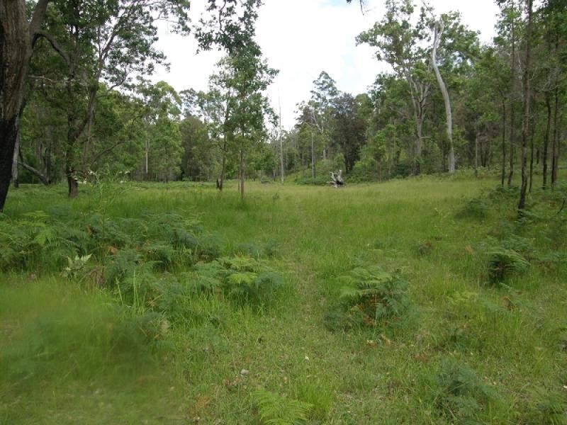 300 Doboy Road, Buccarumbi, Grafton NSW 2460