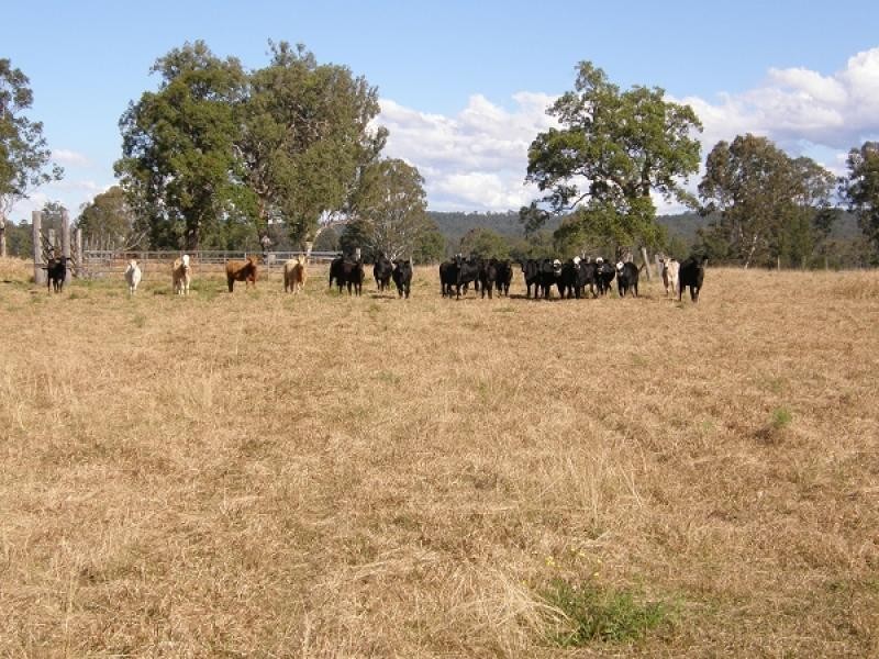 Lot 17 Coaldale Road, Barretts Creek, Grafton NSW 2460