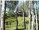 75 Grafton Street, Copmanhurst NSW 2460