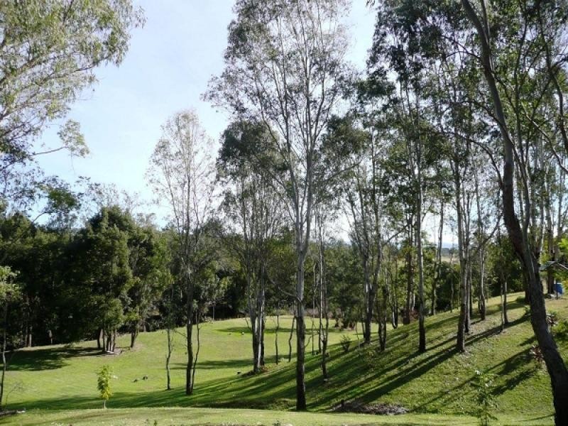 75 Grafton Street, Copmanhurst NSW 2460