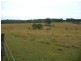 1942 Coaldale Road, Coaldale, Grafton NSW 2460