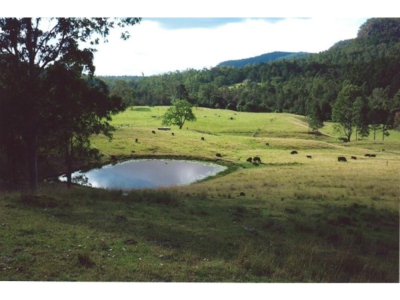 920 Smiths Creek Road, Copmanhurst, Grafton NSW 2460