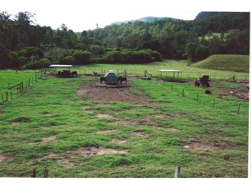 920 Smiths Creek Road, Copmanhurst, Grafton NSW 2460