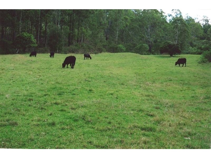 920 Smiths Creek Road, Copmanhurst, Grafton NSW 2460