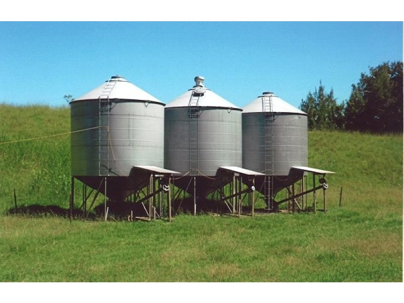 920 Smiths Creek Road, Copmanhurst, Grafton NSW 2460