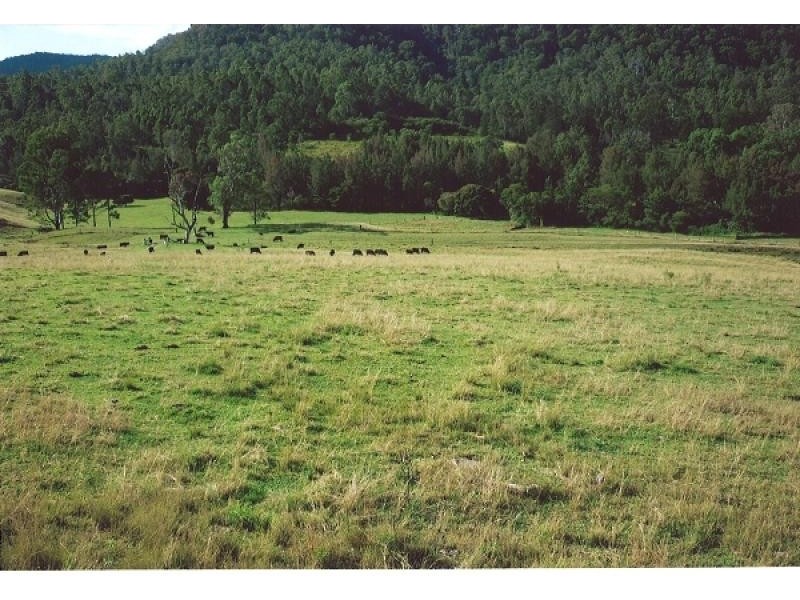 920 Smiths Creek Road, Copmanhurst, Grafton NSW 2460