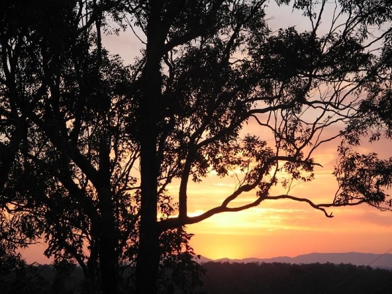 63 Clarence Way, Mountain View NSW 2460