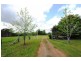 269 Parker Road, Wells Crossing, Grafton NSW 2460