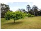 269 Parker Road, Wells Crossing, Grafton NSW 2460